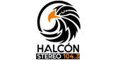 Halcon Stereo en vivo