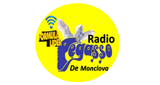 Radio Pegasso De Saltillo en vivo